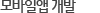 모바일앱 개발
