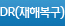 DR(재해복구)