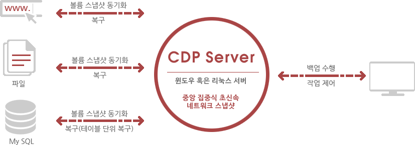 www, File, My SQL ↔ CDP Server : 윈도우 혹은 리눅스 서버, 중앙 집중식 초신속 네트워크 스냅샷 - 볼륨 스냅샷 동기화/복구  ↔ 사용자 - 백업 수행/작업 제어